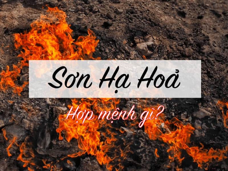 menh son ha hoa hop nhat nhung nguoi thuoc menh moc, hoa va tho
