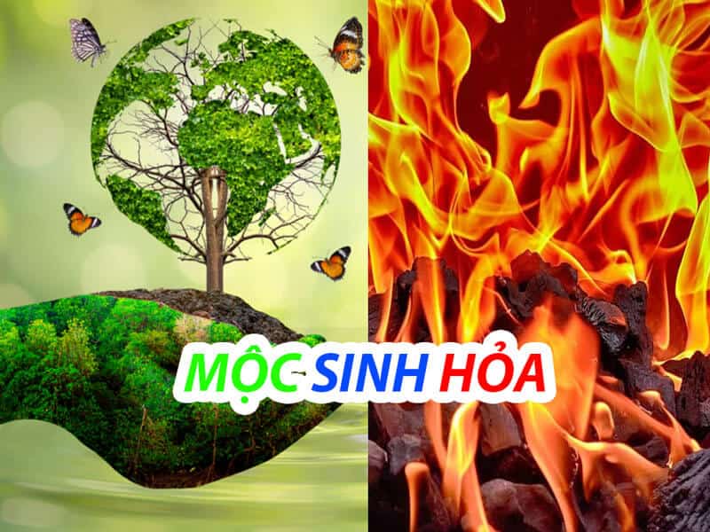 moc sinh hoa tuong trung cho su ho tro, nuoi duong va thuc day lan nhau de cung phat trien
