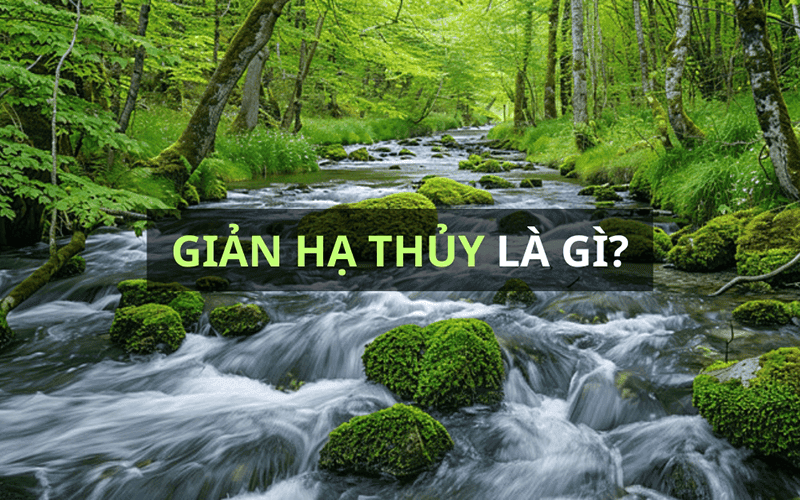 Nguoi menh Gian Ha Thuy duoc sinh vao cac nam 1996-1997 co tinh cach kha la than thien