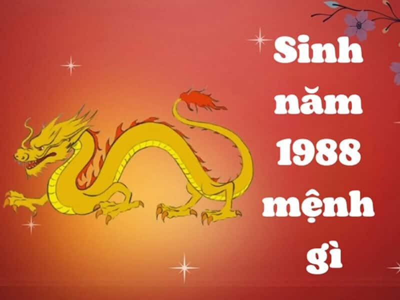 nguoi sinh nam 1988 mang menh moc, thuoc nap am dai lam moc (cay lon trong rung)