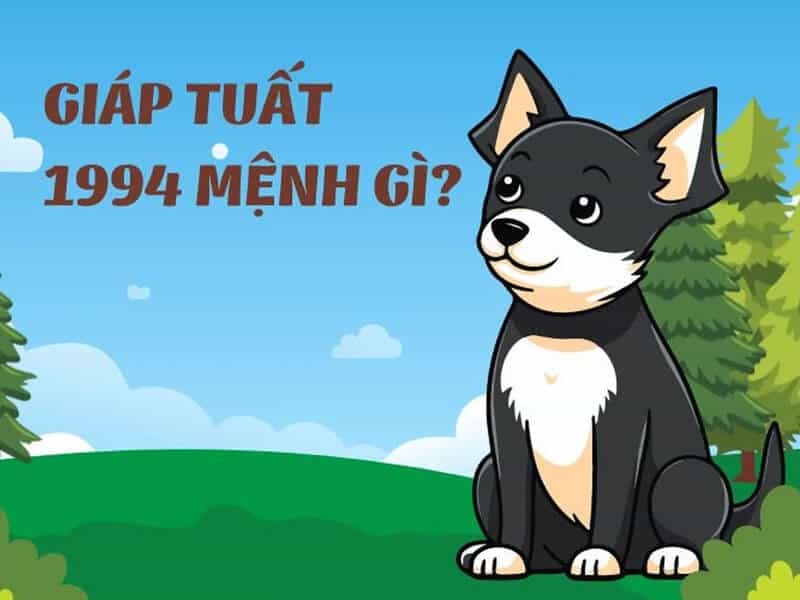 nguoi sinh nam 1994 (giap tuat) thuoc menh hoa va nap am son dau hoa (lua tren dinh nui)