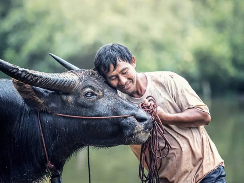 Người tuổi ĐInh Sửu 1997 có tính cách trung thực và đáng tin cậy nguoi tuoi dinh suu 1997 co tinh cach trung thuc va dang tin cay