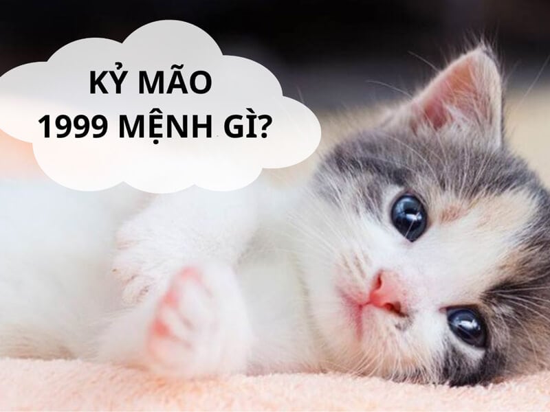 nguoi sinh nam 1999 thuoc tuoi ky mao va mang menh tho (thanh dau tho – dat tren thanh)