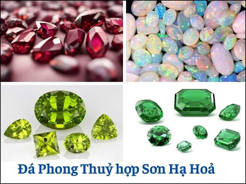 viec su dung da quy phu hop se giup can bang va tang cuong nang luong tich cuc