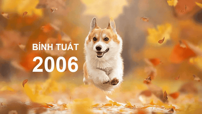 Nhung nguoi duoc sinh vao nam 2006 se thuoc tuoi Binh Tuat va menh cua ho se la Oc Thuong Tho - Dat noc nha