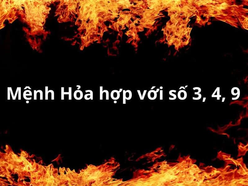moi con so hop deu an chua nhung nang luong va y nghia phong thuy rieng