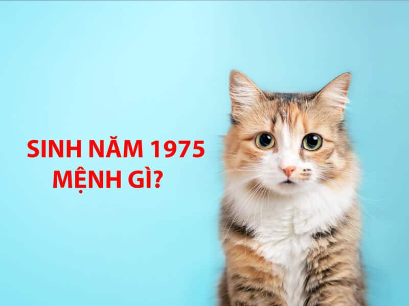 nguoi sinh vao nam 1975 thuoc tuoi at mao va mang menh thuy (dai khe thuy - nuoc khe lon)
