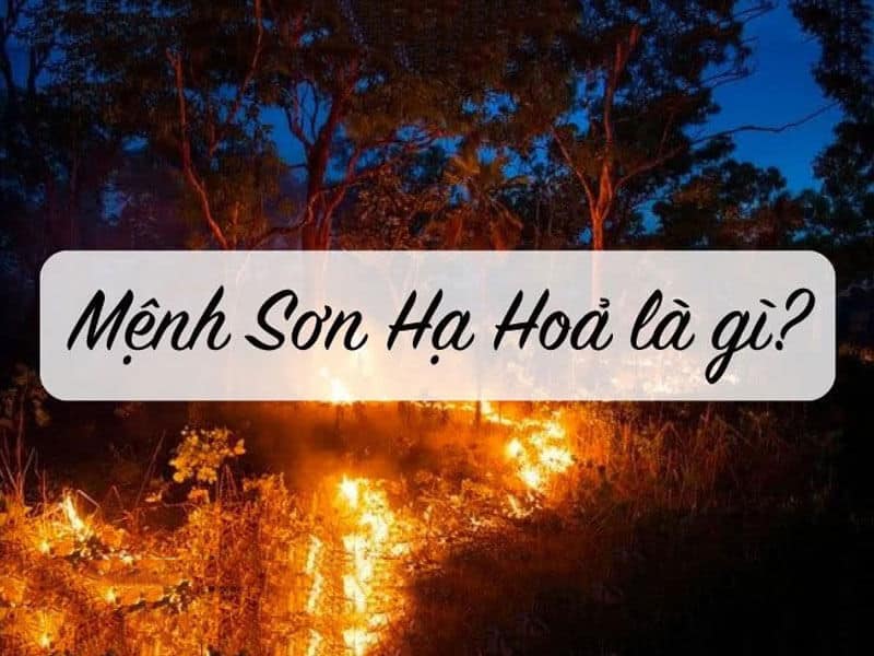 son ha hoa (lua duoi chan nui) tuong trung cho y chi manh me, khong khuat phuc truoc kho khan
