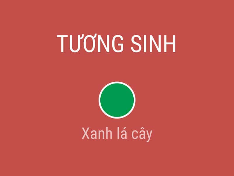 mau xanh la - mau cua hanh moc rat hop voi nguoi menh tich lich hoa