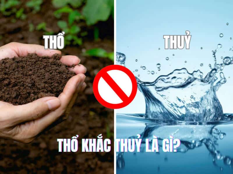 tho va thuy la moi quan he tuong khac trong tu nhien
