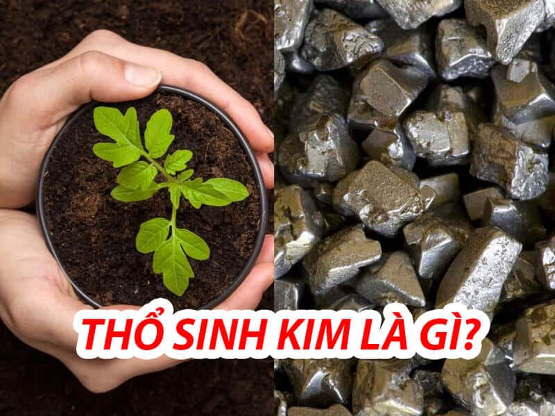 tho la me, kim la con - moi quan he tuong sinh trong ngu hanh