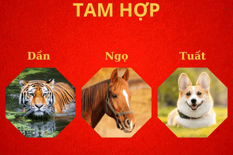 Trong moi quan he hon nhan thi nguoi sinh nam 1998 se hop nhat voi nhung nguoi tuoi Ngo va tuoi Tuat