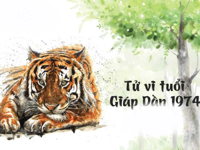 tu vi tron doi cho thay nguoi tuoi 1974 se co nhieu thang tram trong su nghiep va cuoc song