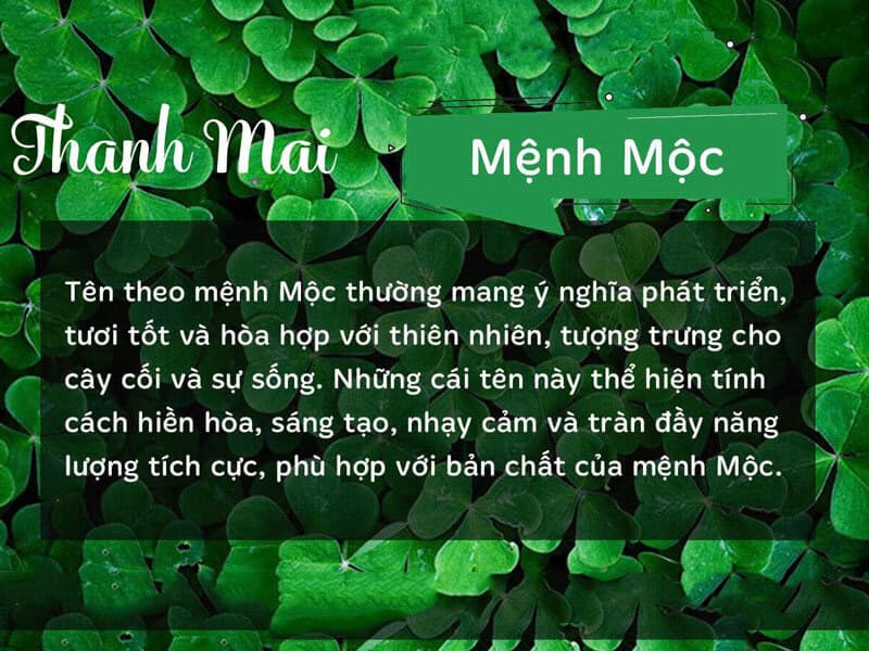 hanh moc giup can bang tinh khi, mang lai su diu dang cho nguoi menh hoa