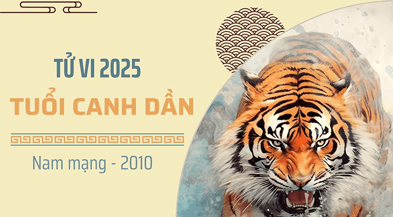 2025 la mot nam khong duoc thuan loi doi voi nam tuoi Canh Dan vi can Canh va At co su tuong khac