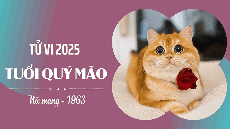 2025 la nam Hoa khac voi menh Kim cua nu Quy Mao nen ho se phai doi mat voi nhieu ap luc va kho khan