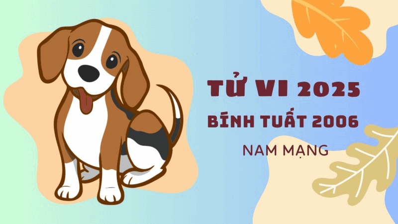 2025 la nam tuong doi thuan loi voi nam tuoi Binh Tuat khi ho khong pham Thai Tue cung Tam Tai