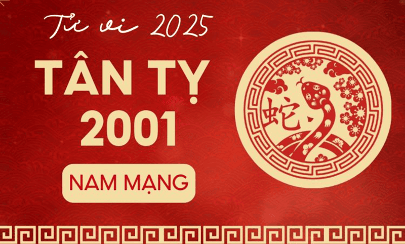2025 nam Tan Ty se pham Thai Tue nen se gap rat nhieu kho khan trong cong viec lan tinh cam