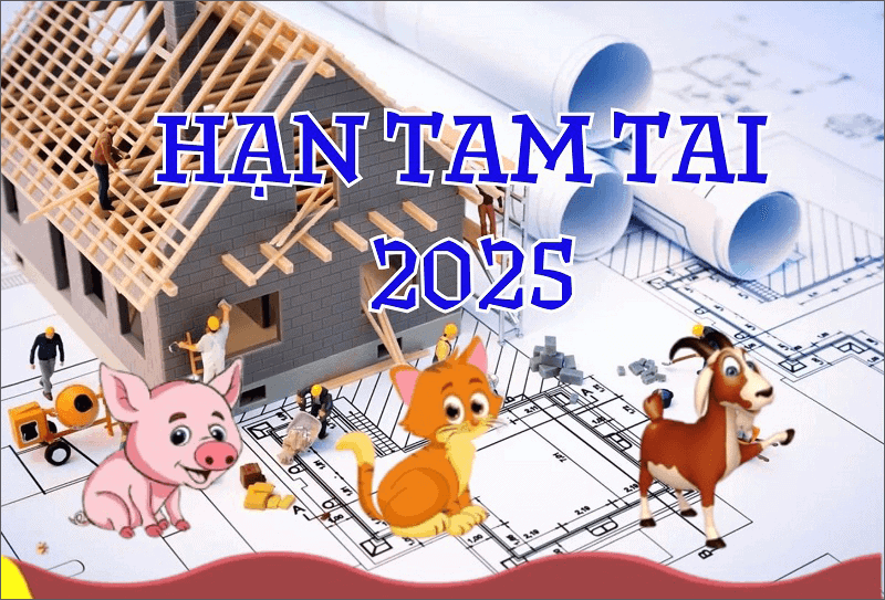 Do 2025 pham Tam Tai nen nu Quy Mao phai than trong khi di chuyen xa, dong tho xay nha va mo rong kinh doanh