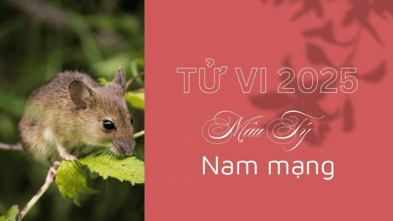 Day la nam day thuan loi cho nam Mau Ty khi menh Tich Lich Hoa tuong ho tot voi Phu Dang Hoa cua 2025