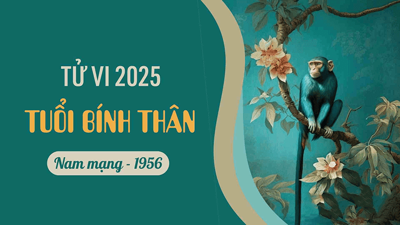 Doi voi nam Binh Than thi 2025 la mot nam trung binh nen ho can phai than trong voi nhung quyet dinh cua minh