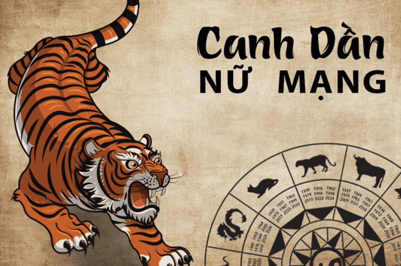 Nam 2025 nu Canh Dan co van trinh kha tot nho vao su tuong sinh giu hanh Moc ban menh va hanh Hoa cua nam