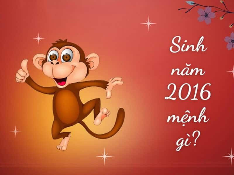 nguoi sinh nam 2016 thuoc menh hoa (son ha hoa – lua tren nui)