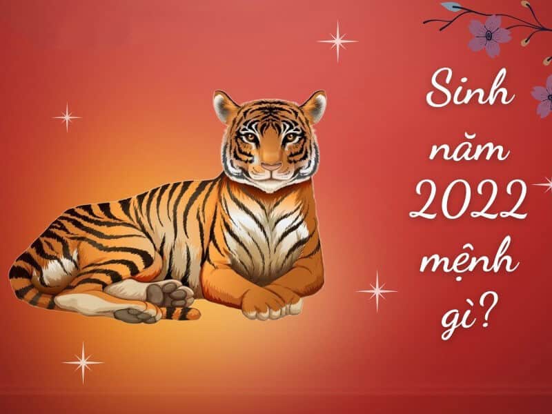 tre sinh nam 2022 thuoc tuoi nham dan (tuoi ho) va mang menh kim bach kim