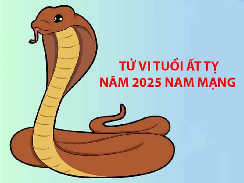 tu vi tuoi at ty cho thay nam mang se gap nhieu tro ngai trong nam 2025