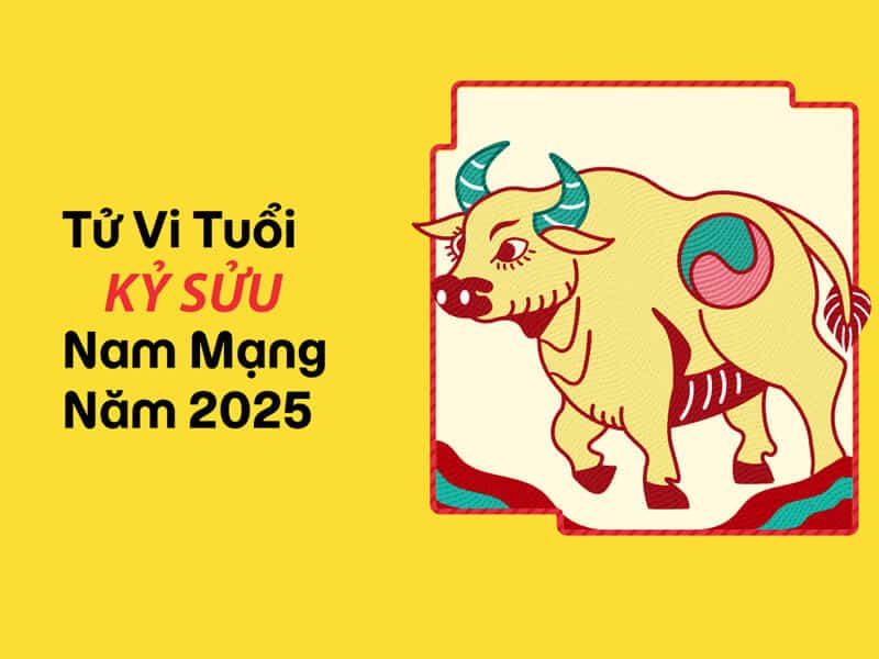 tu vi cho thay nguoi tuoi suu se co van menh kha thuan loi trong nam 2025