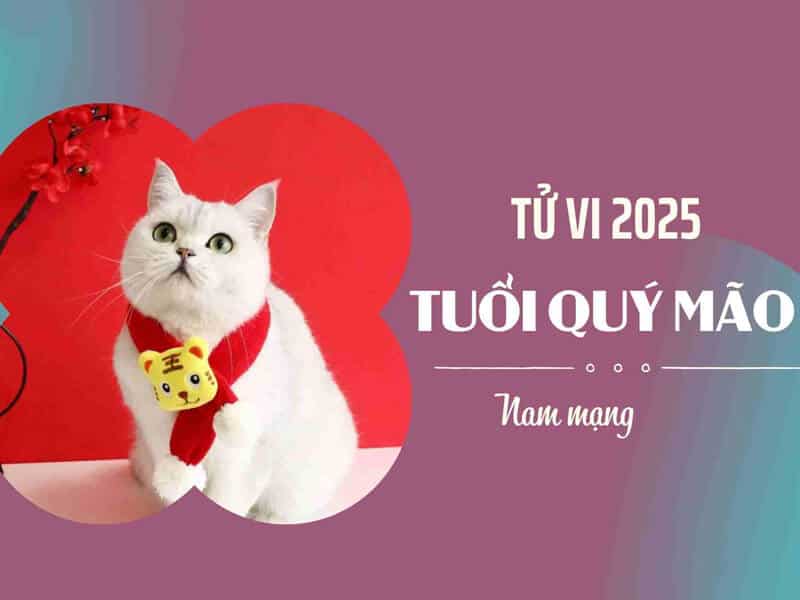 tuoi quy mao nam mang se gap nhieu thac thuc va tro ngai trong nam at ty 2025