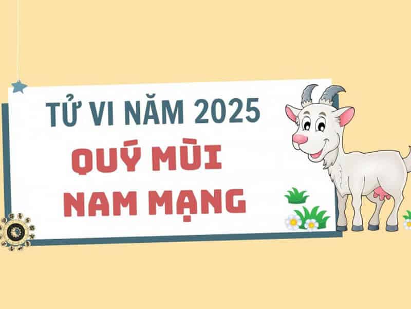 van menh nam mang tuoi quy mui se phai doi dien nhieu bien dong trong nam 2025
