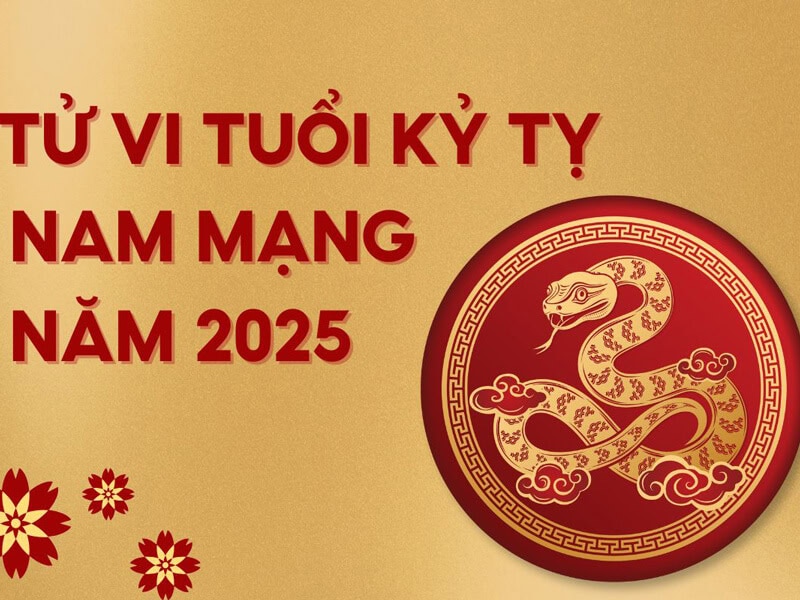 tu vi 2025 cho thay nam ky ty se co mot nam bien dong khi doi dien voi han thai tue va tam tai