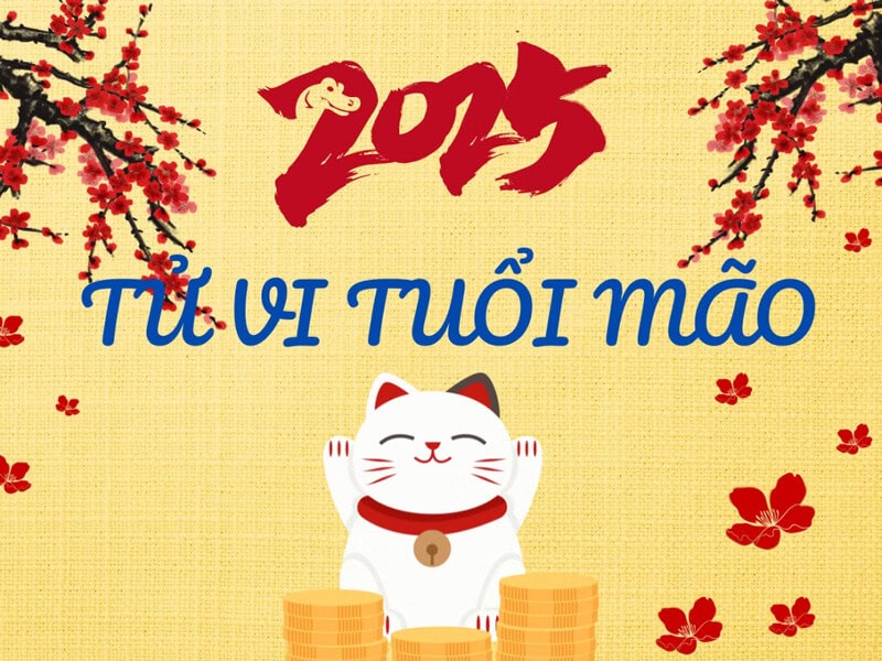 nam mang tuoi tan mao se gap nhieu thach thuc voi sao la hau va tam tai trong nam 2025