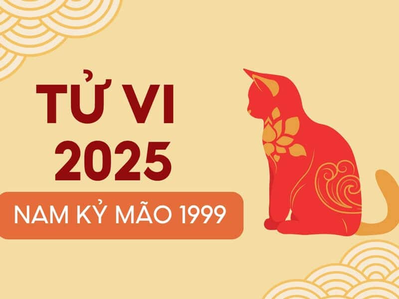 nam 2025 la mot nam kha thuan loi voi nguoi tuoi ky mao nam mang