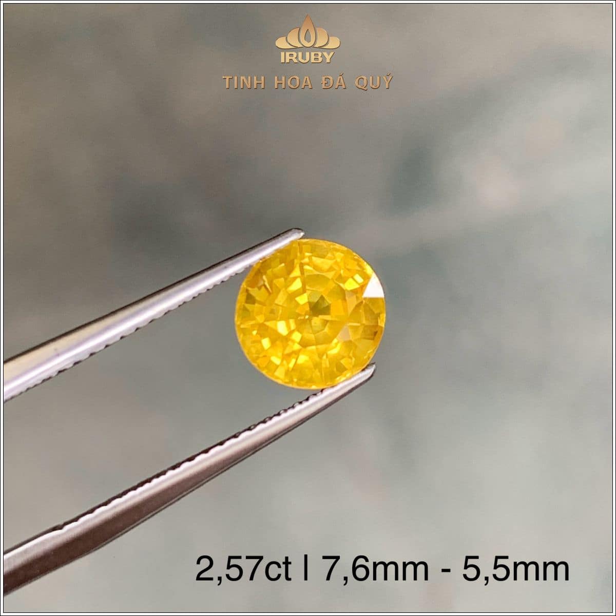 Đá Sapphire vàng tự nhiên 2,57ct - IRYS 2507257