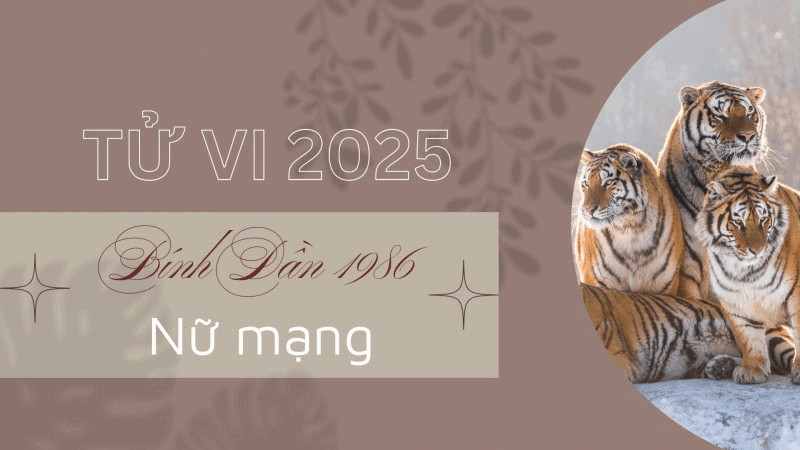 Dan gap Ty tao ra hien tuong tuong hai nen nam 2025 chac chan se mang den nhieu thuc thach cho nu Binh Dan