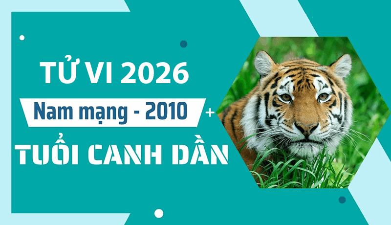 Nam 2026 mang den su on dinh cho nam Canh Dan va cuoc song hang ngay gap nhieu thuan loi nho sao Thai Am ho tro