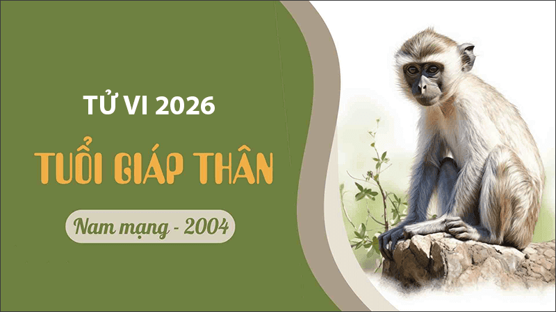 Nam 2026 nam Giap Than duoc sao Thai Duong chieu menh, ho tro duong cong danh va su nghiep tro len sang hon