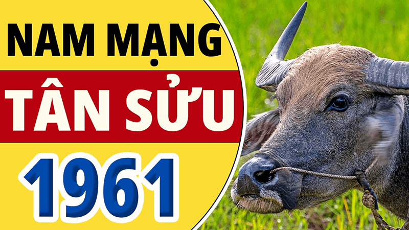 2026 la mot nam cuc ky kho khan voi nam Tan Suu khi ho pham nhieu han lon va bi sao xau chieu menh