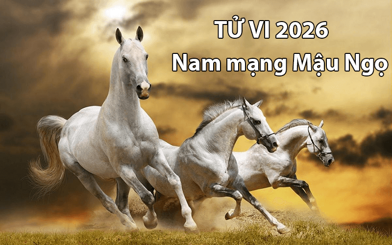 2026 la nam day kho khan va thach thuc voi nam Mau Ngo, vi day la nam tuoi se phai doi mat voi nhieu hung tinh