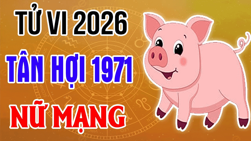 Do van han khong tot nen nam 2026 nu Tan Hoi se gap nhieu bien dong lien quan den suc khoe, tai chinh va tam ly
