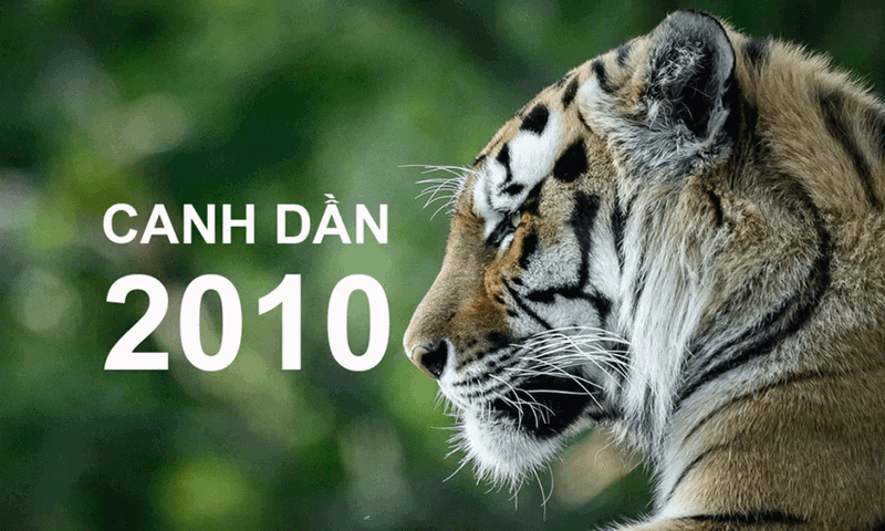 Nam 2026 Binh Ngo tuy tuong sinh voi menh Moc cua nu Canh Dan nhung sao xau chieu menh se mang den nhieu bien dong