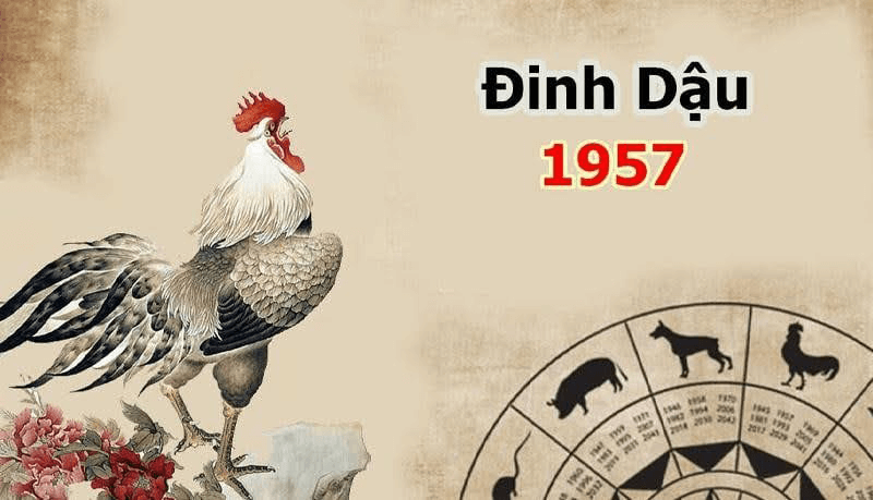 Nam 2026 khong qua hop voi nu Dinh Dau khi menh Hoa bi nam Thuy khac gay ra nhung bat thuan trong cuoc song