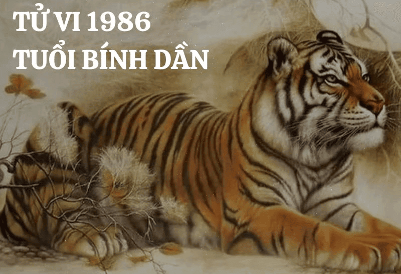 Nam nu Binh Dan mang menh Lu Trung Hoa va so huu tinh cach manh me voi van menh phat trien tu 35 tuoi tro di