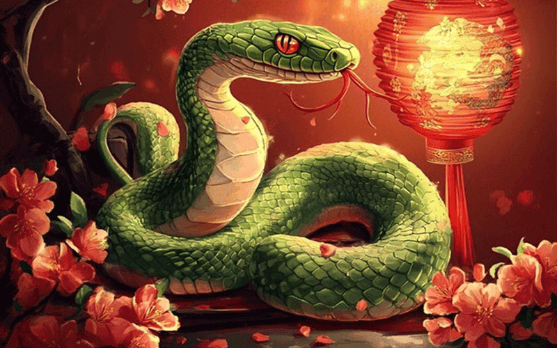 Nam nu Ky Ty noi bat voi tinh cach thong minh, nhay ben va ho co the phat trien trong nhieu dieu kien khac nhau