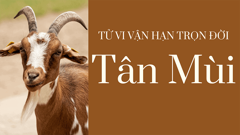 Nam nu tuoi Tan Mui se mang menh Lo Bang Tho va ho rat hop voi nhung mau vang dat, nau, cam nhat, do
