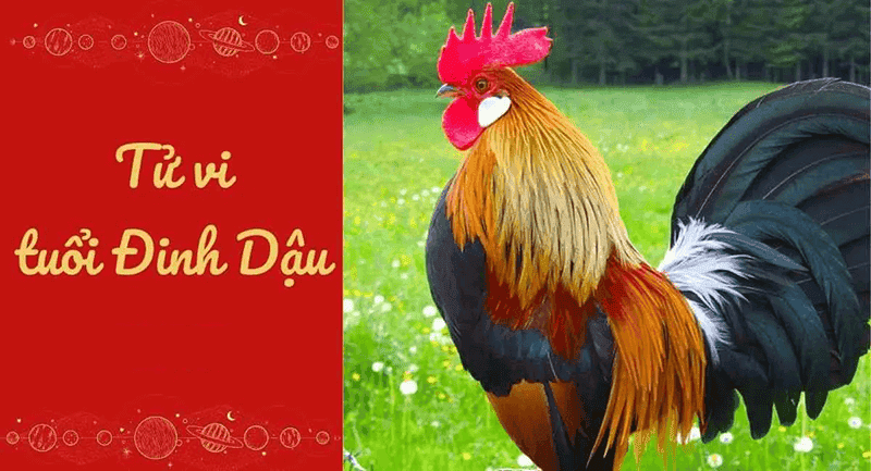 Tuoi Dinh Dau co menh Son Ha Hoa va menh nay can thoi gian de de toa sang sau khi tich luy du kinh nghiem