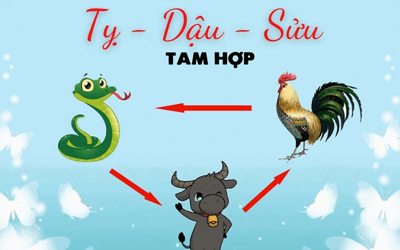 Ty va Suu la nhung tuoi rat hop voi Quy Dau, khi hop tac lam an thuong mang lai may man trong cac du an