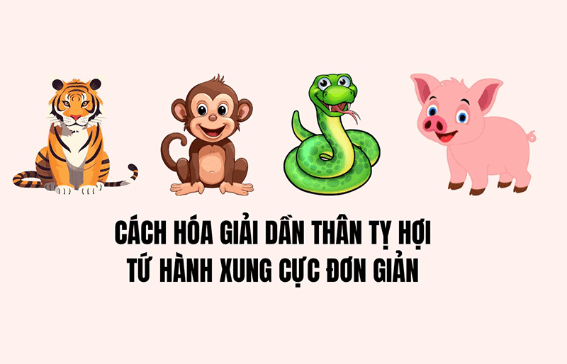 Dan Than Ty Hoi la bon tuoi thuoc nhom tu hanh xung, anh huong nhieu den van menh, tinh duyen va su nghiep